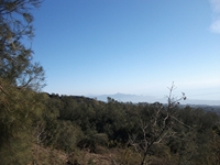 anobello-01042012 039